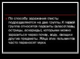 По способу заражения глисты подразделяются на две группы. К первой группе относятся паразиты (власоглавы, острицы, аскариды), которыми можно заразиться через почву, воду, овощи и другие предметы. Яйца этих гельминтов часто переносят мухи.