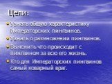 Цели: Узнать общую характеристику Императорских пингвинов. Узнать о размножении пингвинов. Выяснить что происходит с пингвином за всю его жизнь. Кто для Императорских пингвинов самый коварный враг.