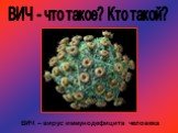 ВИЧ - что такое? Кто такой? ВИЧ – вирус иммунодефицита человека