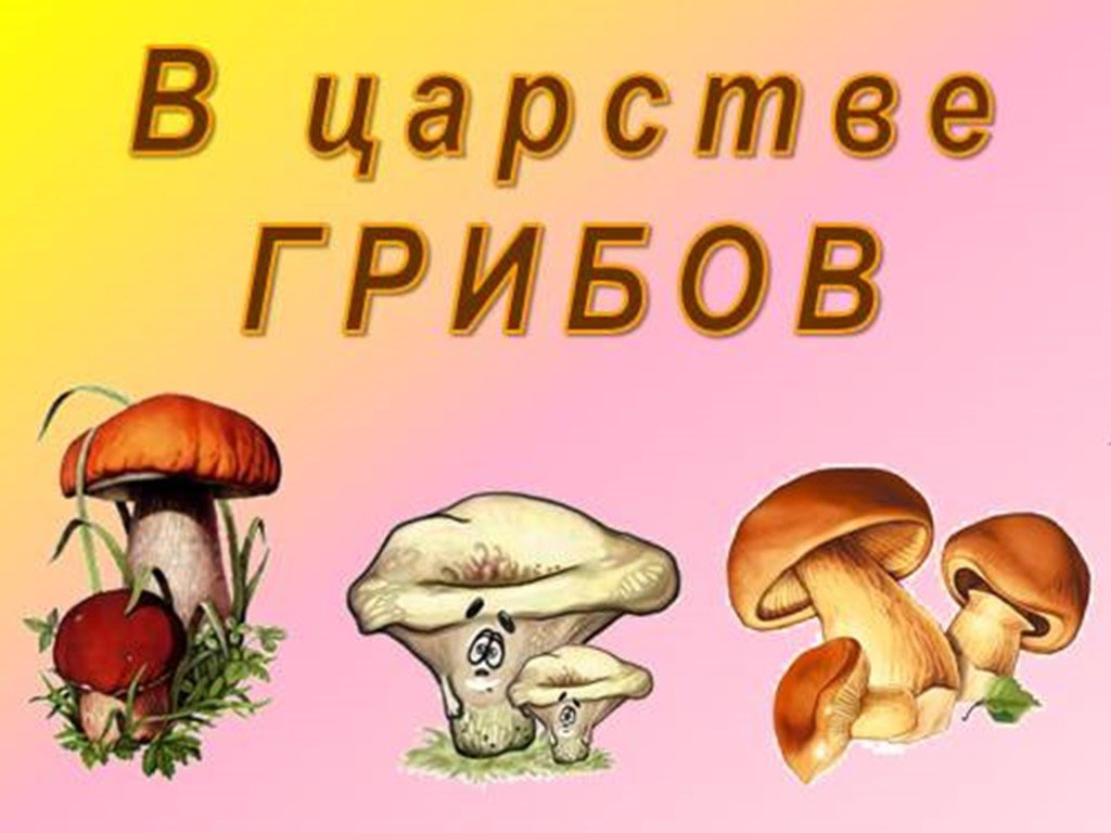 Есть царство грибов