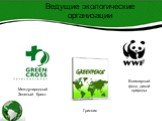 Ведущие экологические организации. Международный Зеленый Крест. Гринпис. Всемирный фонд дикой природы