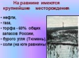 На равнине имеются крупнейшие месторождения: нефти, газа, торфа - 60% общих запасов России, бурого угля (Тюмень), соли (на юге равнины),