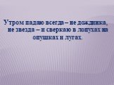 Утром падаю всегда – не дождинка, не звезда – и сверкаю в лопухах на опушках и лугах.