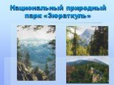 Национальный природный парк «Зюраткуль»
