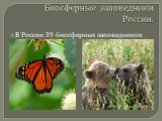 Биосферные заповедники России. В России 39 биосферных заповедников