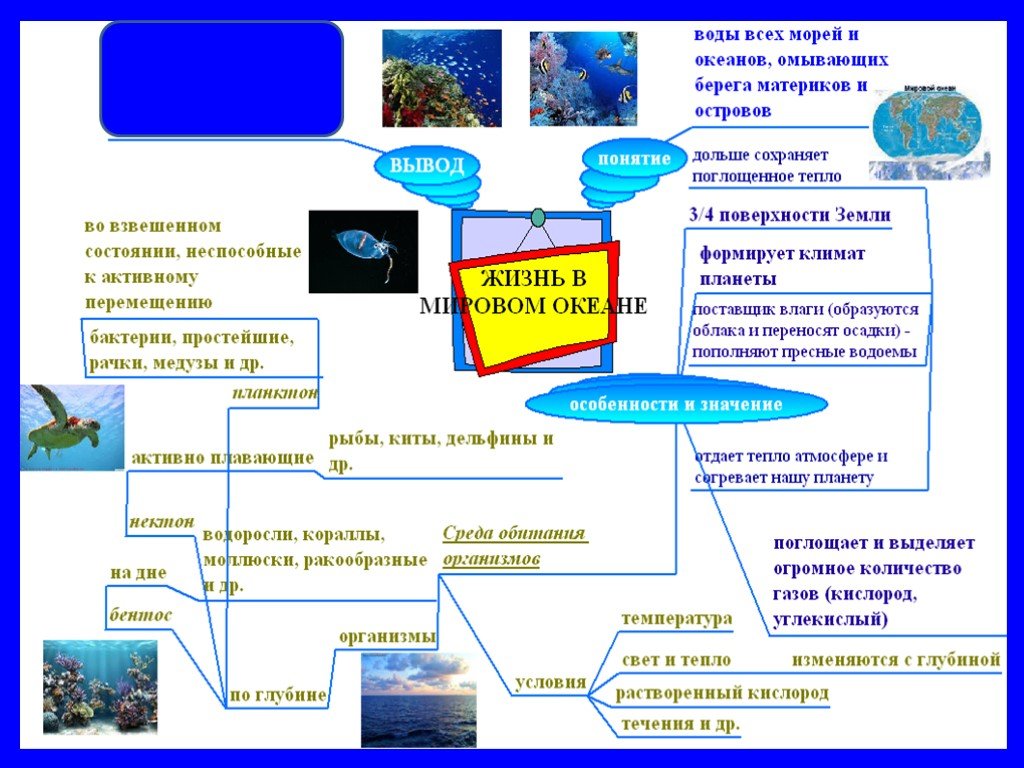 Схема жизнь в океане