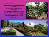 В Копакабане расположен ботанический сад, с красивейшими аллеями, фонтанами и, разумеется, растениями. Он занимает площадь 137 га, из которых 83 га - дикая природа. Здесь представлено около 6000 самых разнообразных видов растений.