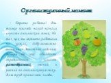 Организационный момент. - Дорогие ребята! Вы только полгода назад начали изучать английский язык. Но так как вы активно работали на уроках, добросовестно выполняли домашние задания, теперь вы уже обладаете определенным запасом разнообразных знаний и умений по английскому языку. Ваш труд принес свои 