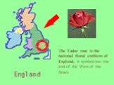 England. The Tudor rose is the national floral emblem of England. It symbolizes the end of the Wars of the Roses.