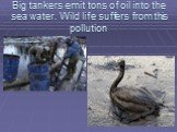 Big tankers emit tons of oil into the sea water. Wild life suffers from this pollution