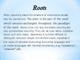 When speaking about the structure of words stems should also be mentioned. The stem is the part of the word which remains unchanged throughout the paradigm of the word. Stems have not only the lexical meaning but also grammatical meaning. They can be noun stems, adjective stems and verb stems. Somet