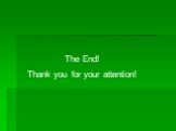 The End! Thank you for your attention!
