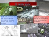Acid rain is caused by the release into the atmosphere of sulphur dioxide and oxides of nitrogen. Acid rain is linked with damage to and the death of the forests and lake organisms.