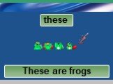 These are cats These are frogs