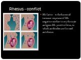 Rhesus - conflict. Rh factor - is the humoral immune response of Rh-negative mother to erythrocyte antigens Rh-positive fetus, in which antibodies are formed antirhesus