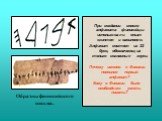 При создании своего алфавита финикийцы использовали опыт египтян и вавилонян. Алфавит состоял из 22 букв, обозначающих только согласные звуки. Почему именно в Финикии появился первый алфавит? Кому в Финикии было необходимо уметь писать? Образцы финикийского письма.