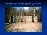 Памятник «Дневник Тани Савичевой»