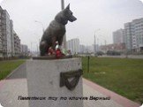 Памятник псу по кличке Верный