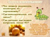 Сорок и шестьдесят. Что можете рассказать, посмотрев на сороконожку? Где использовалось это число? Где сегодня мы можем встретить число 40? Задача: Чтобы наполнить бочку, понадобится 40 вёдер воды. Сколько вёдер воды нужно, чтобы заполнить 3 таких бочки?