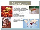 Малярия. Малярия-группа протозойных трасмиссивных заболеваний человека, возбудители которых передаются комарами рода Anopheles. Характеризуется преимущественным поражением ретикулогистиоцитарной системы и эритроцитов, проявляется лихорадочными пароксизмами, гепатоспленомегалией, анемией.