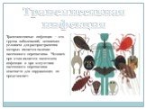 Трансмиссивная инфекция. Трансмиссивные инфекции – это группа заболеваний, основным условием для распространения которых является наличие насекомого-переносчика. Человек при этом является носителем инфекции и при отсутствии насекомого-переносчика опасности для окружающих не представляет.