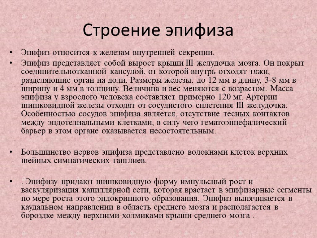 Эпифиз относится к. Возрастные особенности эпифиза. Эпифиз строение и функции. Пинеалоциты эпифиза. Эпифиз железа ЕГЭ.