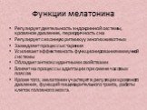 Функции мелатонина. Регулирует деятельность эндокринной системы, кровяное давление, периодичность сна Регулирует сезонную ритмику у многих животных Замедляет процессы старения Усиливает эффективность функционирования иммунной системы Обладает антиоксидантными свойствами Влияет на процессы адаптации 