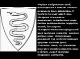 Первые изображения змей, используемые в качестве символа медицины были датированы II тысячелетием до нашей эры. Во время тотемизма и анимализма первобытные люди считали змей символом мудрости, знаний, бессмертия. В мифологии многих народностей змея выступала в качестве символа добрых начал, оберегаю
