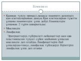 Гемопоэз. Қанның түзілу процесі,немесе гемопоэз дегеніміз қан клеткаларының дамуы.Қан клеткаларын түзетін ұлпаны гемопоэздік ұлпа дейді.Гемопаэздік ұлпаның 2 түрін ажырытады: Миелиндік Лимфалық Эритрциттерді,түйіршікті лейкоциттер мен қан пластинкасын түзуші сүйек майының ұлпасын миелиндік деп атайд