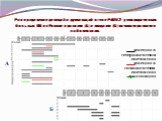 Распределение делеций и дупликаций в гене PARK2 у спорадических больных БП из России с ранним (А) и поздним (Б) началом развития заболевания. А Б. делеции в гетерозиготном состоянии делеции в гомозиготном состоянии дупликации