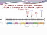 Ген киназы с лейцин богатыми повторами LRRK2 - основной ген AД формы болезни Паркинсона