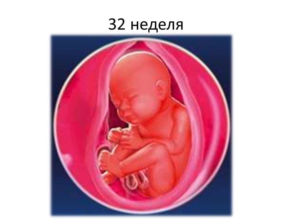 Малыш на 32 неделе беременности