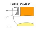 Плечо - shoulder