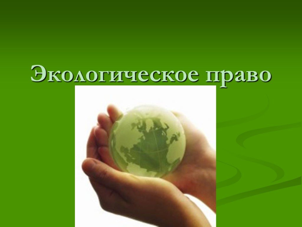 Презентация экологическое право 10 класс обществознание боголюбов