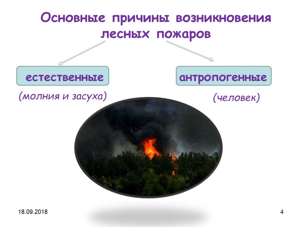 Каковы основные причины лесных пожаров. Причины возникновения лесных пожаров природные и антропогенные. Естественные причины лесных пожаров. Основная причина лесных пожаров. Антропогенные причины возникновения лесных пожаров.