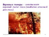 Верховые пожары - охватывает верхний полог леса (наиболее опасный для леса).