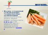 Морковь. Морковь - очень полезный овощ для организма. Полезные и лечебные свойства моркови объясняются ее богатым составом. Морковь содержит витамины группы В, РР, С, Е, К, в ней присутствует каротин — вещество, которое в организме человека превращается в витамин А.