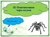 16) Отличительная черта пауков. Восемь лап