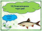 20) Отличительная черта рыб. Мокрая чешуя