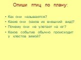 Опиши птиц по плану: Как они называются? Какие они (каков их внешний вид)? Почему они не улетают на юг? Какое событие обычно происходит у клестов зимой?