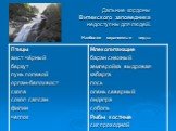 Дальние кордоны Витимского заповедника недоступны для людей. Наиболее охраняемые виды: