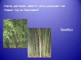 Какое растение вместо елки украшают на Новый год во Вьетнаме? бамбук