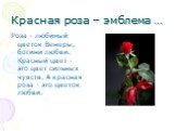 Красная роза – эмблема …. Роза - любимый цветок Венеры, богини любви. Красный цвет - это цвет сильных чувств. А красная роза - это цветок любви.
