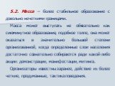 5.2. Масса – более стабильное образование с довольно нечеткими границами. Масса может выступать не обязательно как сиюминутное образование, подобное толпе, она может оказаться в значительно большей степени организованной, когда определенные слои населения достаточно сознательно собираются ради какой