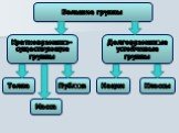 Большие группы. Кратковременно-существующие группы. Долговременные устойчивые группы. Толпа Масса Публика Нации Классы