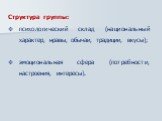 Структура группы: психологический склад (национальный характер, нравы, обычаи, традиции, вкусы); эмоциональная сфера (потребности, настроения, интересы).