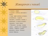 Жаворонок с ношей. 1. Скатать шарик. 2. Сделать лепёшку размером с ладонь. 3. Один край лепёшки оставить утолщённым, а другой заострить, вылепить головку с гребешком, в глазки вставить горошины, сухие плоды. 4. Положить на спину птички «ношу» - скатать 3,5,7 шариков «яичек». Украсить узором, прочерт