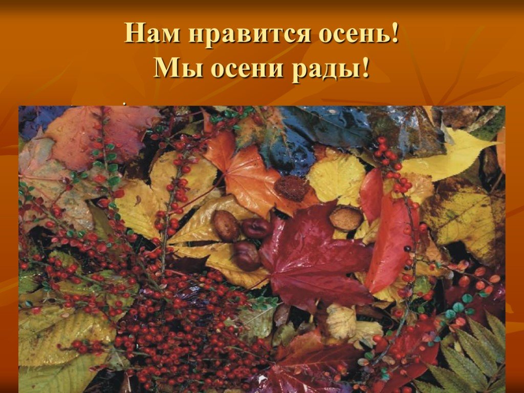 Понравилась осень. Осенние поделки с презентацией. Мы рады осени. Чем может понравится осень. Не рад осени.