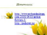 Источники: http://www.mybestdesktops.com/2008/04/03/spring-flowers-5/ http://pedsovet.su/