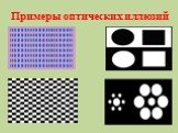 Примеры оптических иллюзий